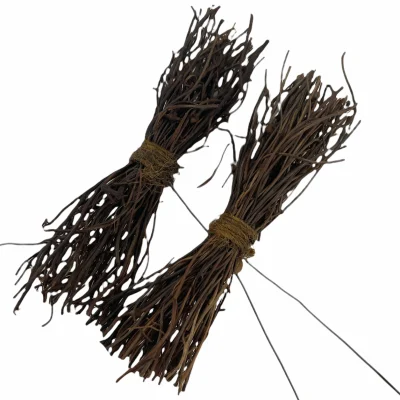 Twee roetjes met fijne takjes, 10cm