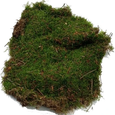 DIY-Pakket; Staand boek met Sinterklaastafereeltje; Sinterklaasje kom maar binnen..