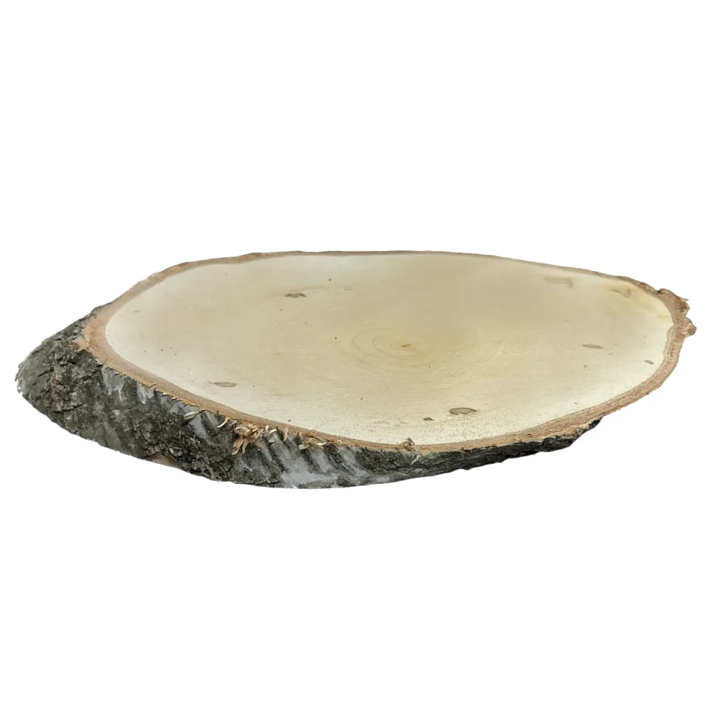 Houten schijf, Wood slice, LANGWERPIG, 24cm